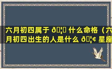 六月初四属于 🦆 什么命格（六月初四出生的人是什么 🦢 星座）